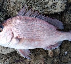 猛暑との戦い！