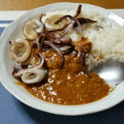 偵察、イカカレー