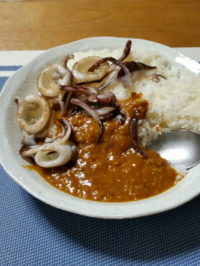 偵察、イカカレー