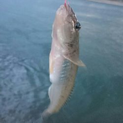 仕事終わりに・・・