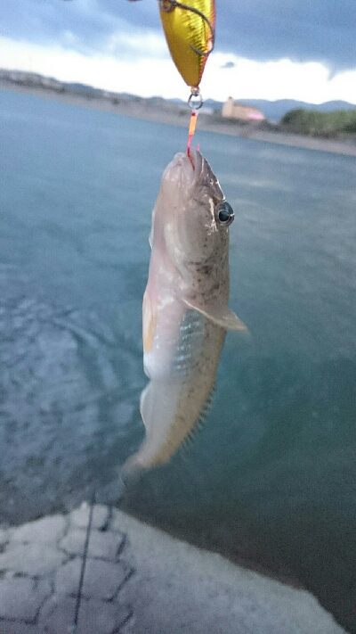 仕事終わりに・・・