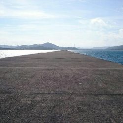 鹿児島釣行 2018 1日目