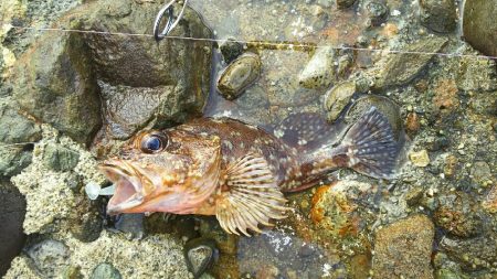 2日間のライトロック三昧
