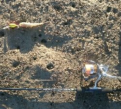 仕事終わりに・・・