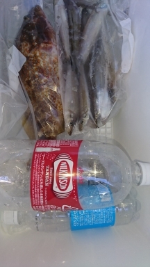 ロックフィッシュ&白キス釣行