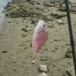 9時間耐久釣りレース