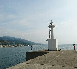 ボウズじゃないけど