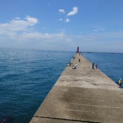 暑さにも負けず