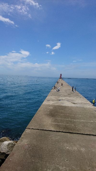 暑さにも負けず