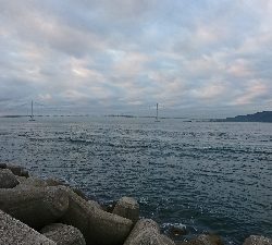 サバ&タチウオ 楽しめました♪