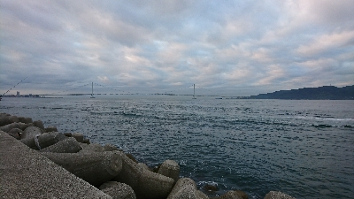 サバ&タチウオ 楽しめました♪