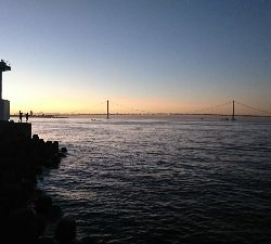 今日もタチウオ