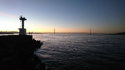 今日もタチウオ