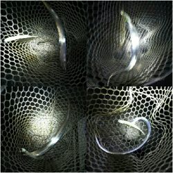 太刀魚ワインド