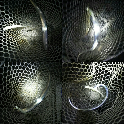 太刀魚ワインド