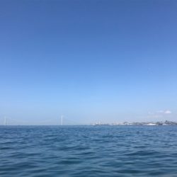 須磨沖  太刀魚  アジ