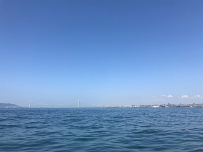 須磨沖  太刀魚  アジ