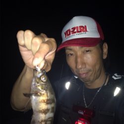 メバルゲーム☆