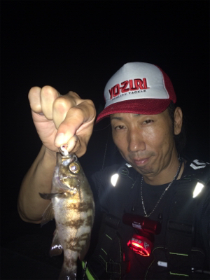 メバルゲーム☆