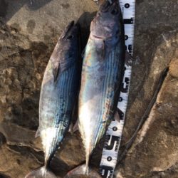 これで良いのか？