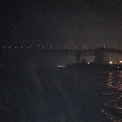 即席ワインドでサバ