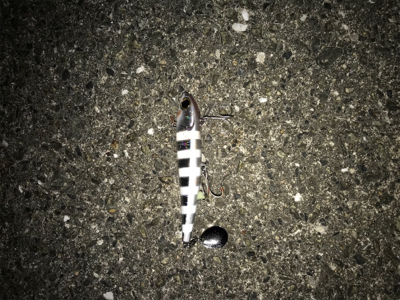 初めてのショアジギング