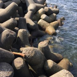 デイオクトパッシング