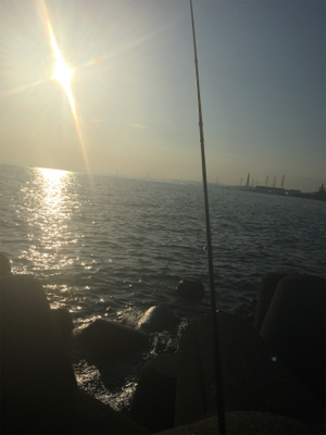 今日もキス釣り！