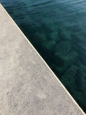 ロックフィッシュ狙い