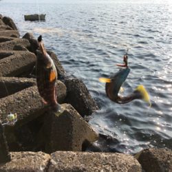 親父たちの釣行 第7弾