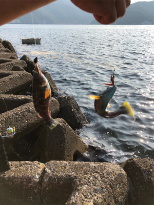 親父たちの釣行 第7弾