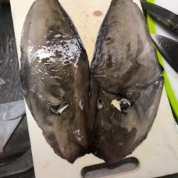 保田港から知り合いのボートで船釣り