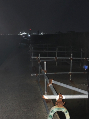 まだタチウオいない