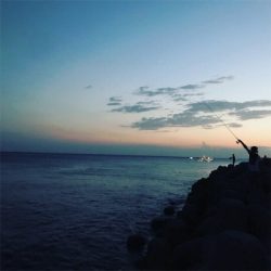 ワインドでサバ