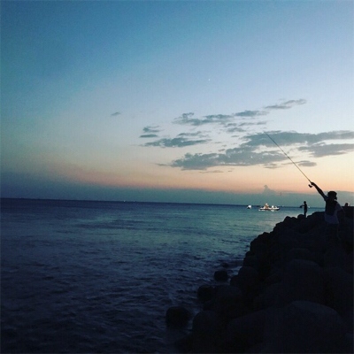 ワインドでサバ