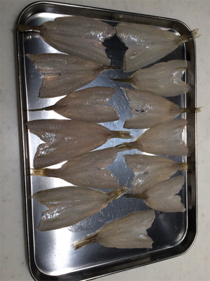 ちょい投げキス釣り!