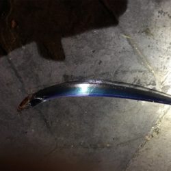 色々なルアーで釣れますよ〜