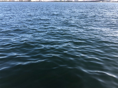 アジ、ダブルヒット！！