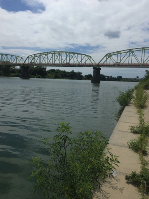田井ノ瀬橋下で紀ノ川バス
