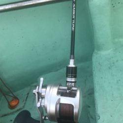 タチウオ狙いで出船