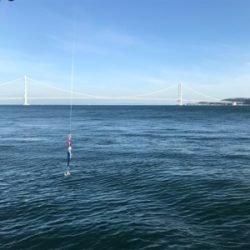 ジギングにてツバス