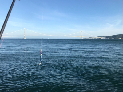 ジギングにてツバス