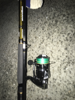 サバの時合いって…