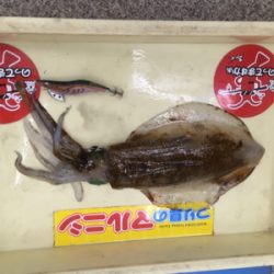 お盆で混む前に