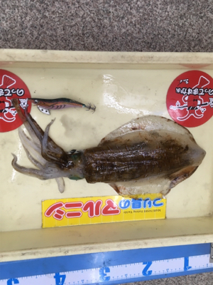 お盆で混む前に