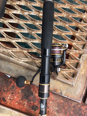 青物が釣れるはずだったが…