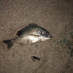 タイミングが合えば！！