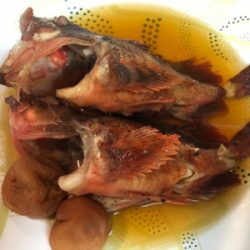 ナイスサイズのガシラダブル♪