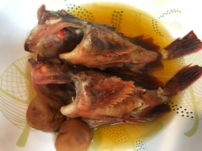 ナイスサイズのガシラダブル♪