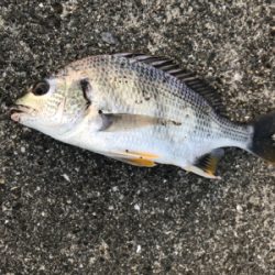 水温が高いのか(T . T)